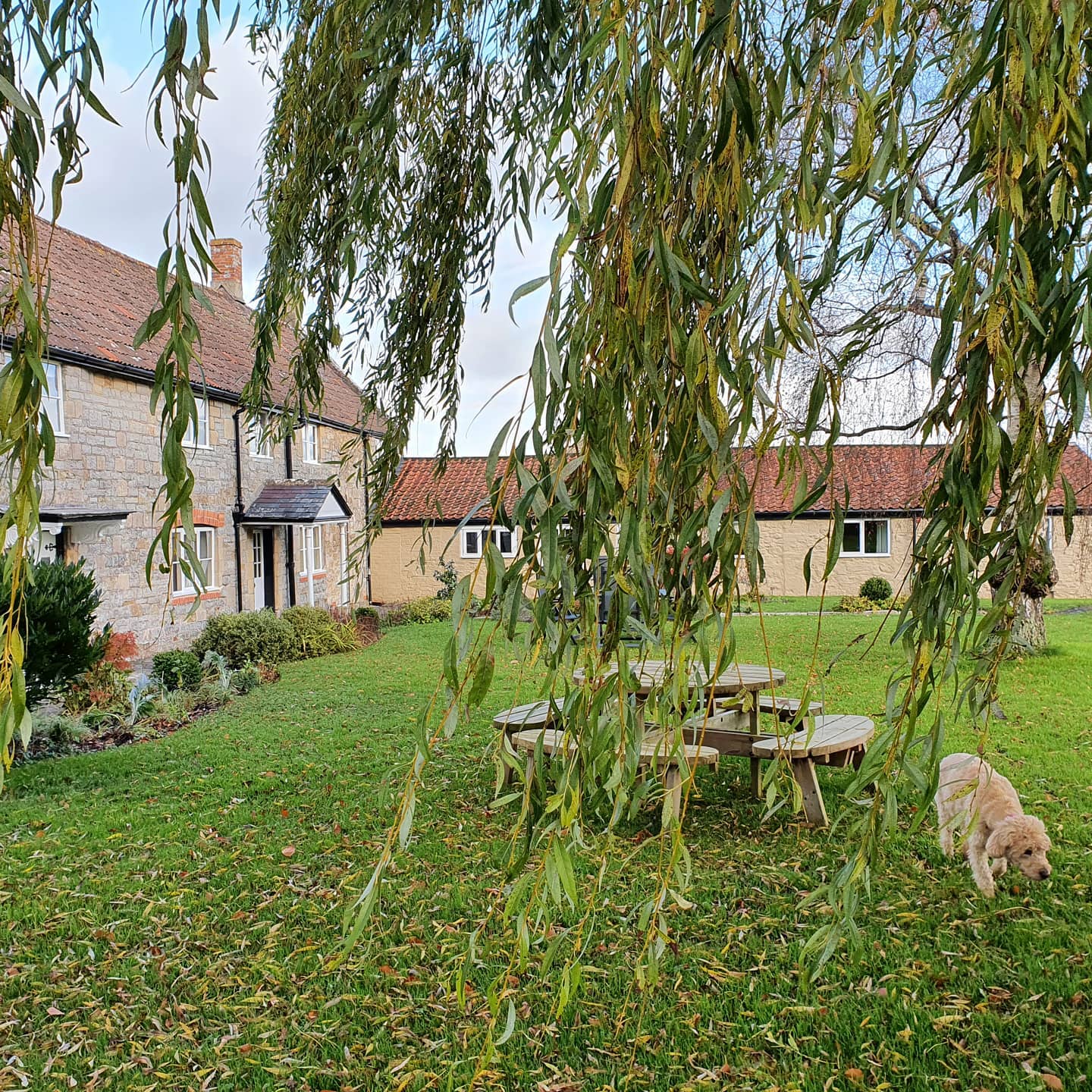 Platinum Healing Retreats in England