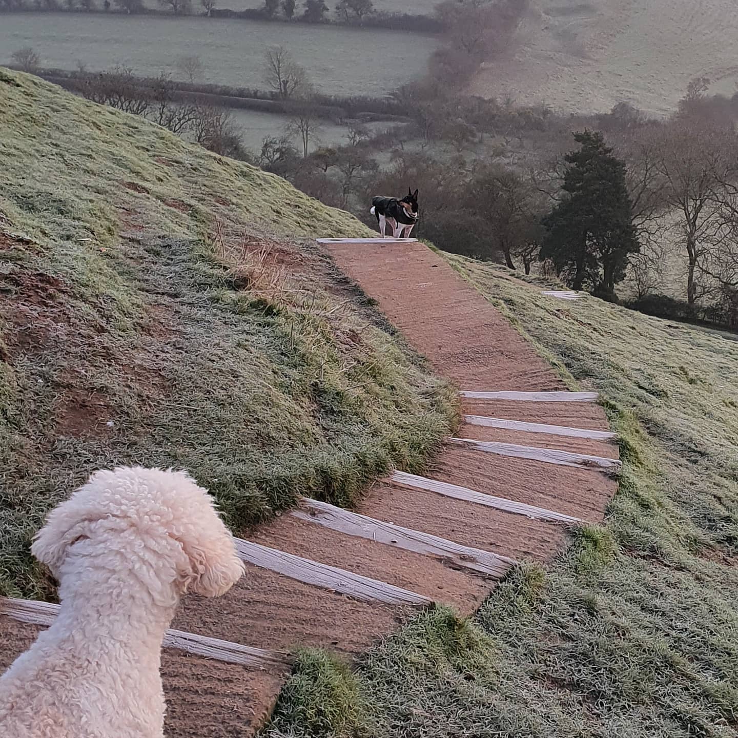 Platinum Healing Retreats in England