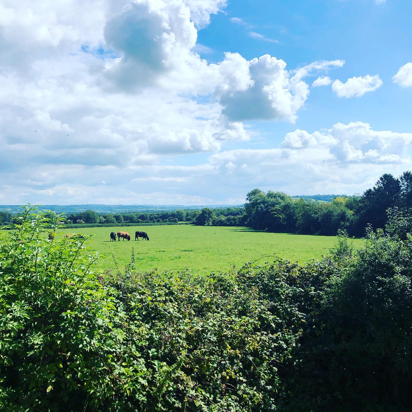 Platinum Healing Retreats in England