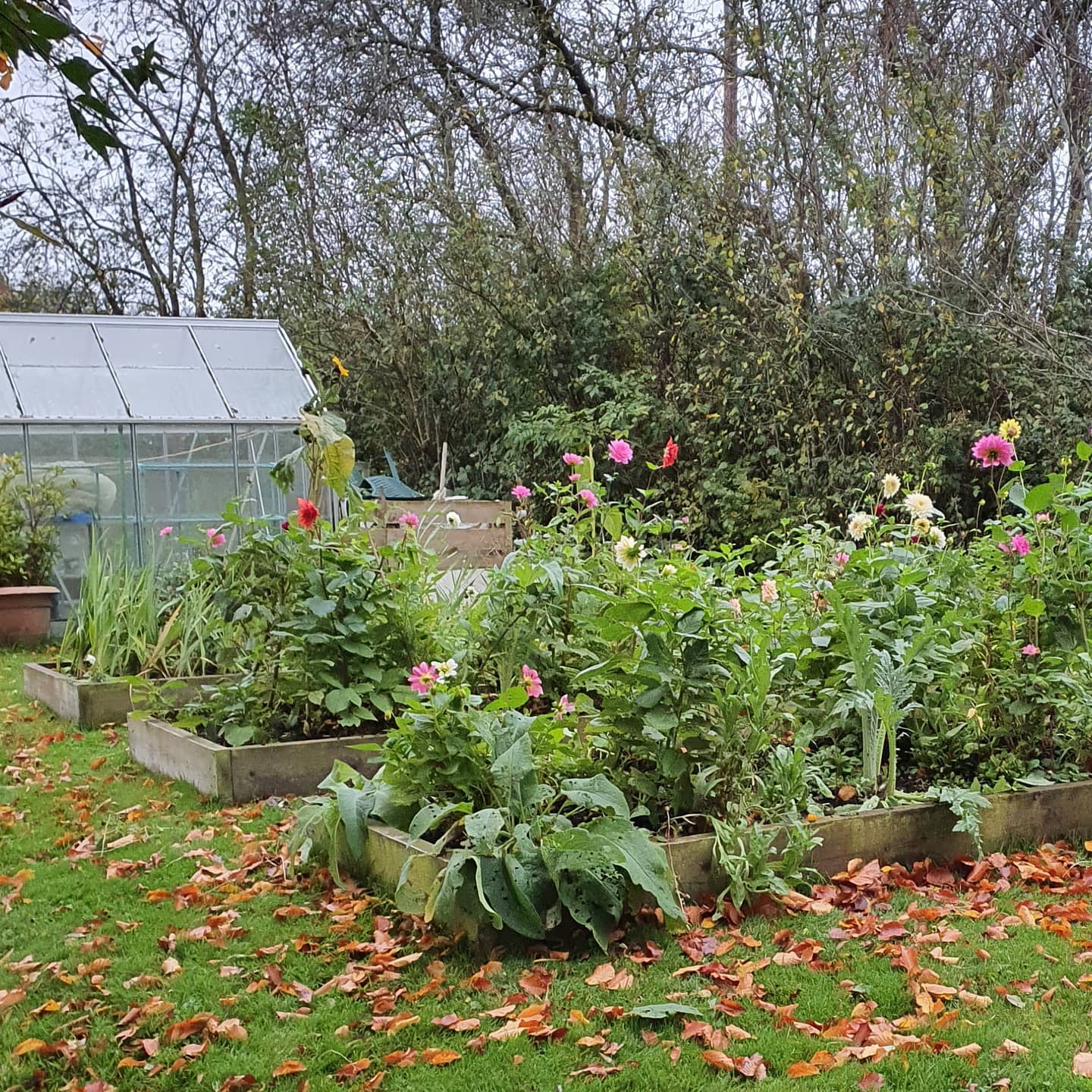 Platinum Healing Retreats in England