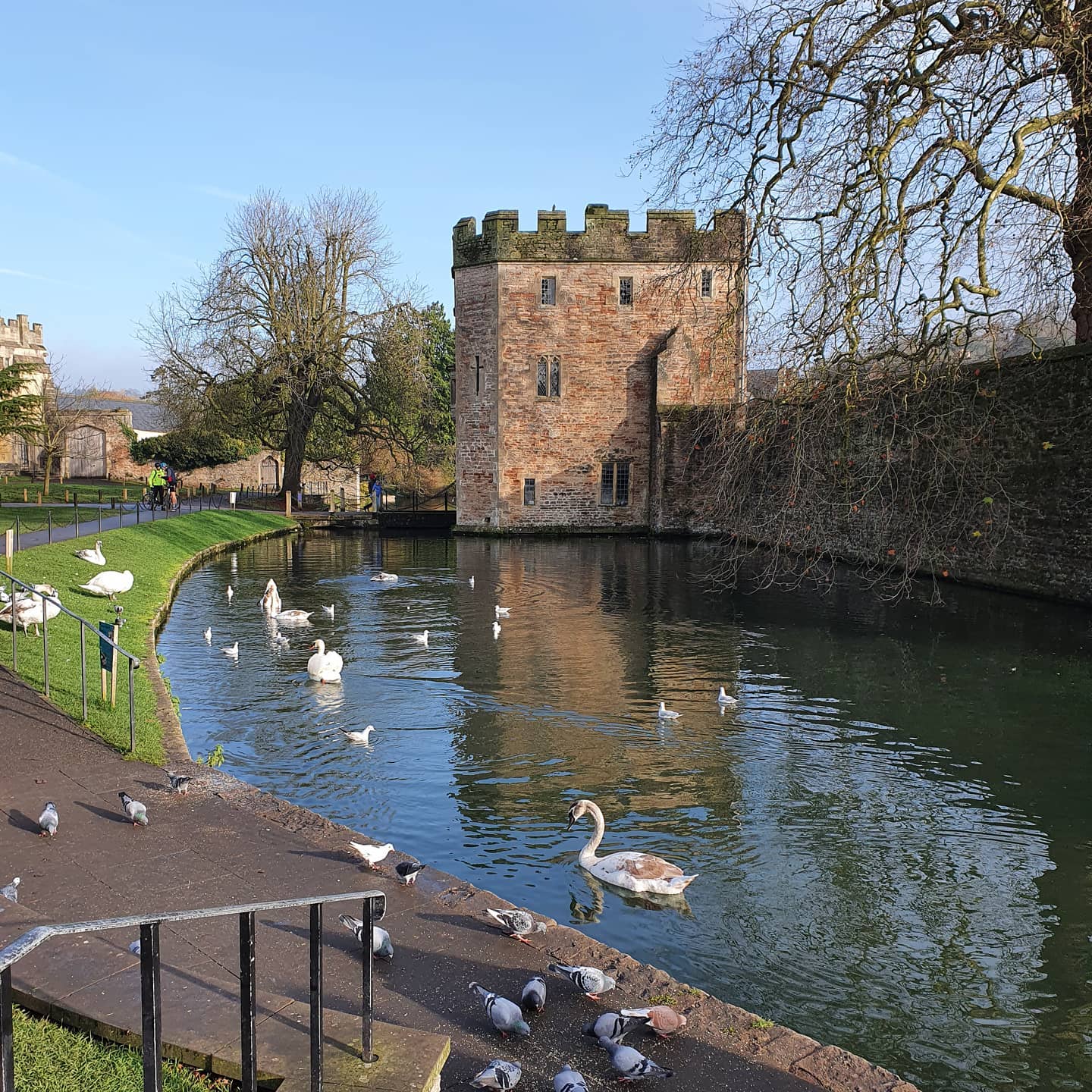 Platinum Healing Retreats in England