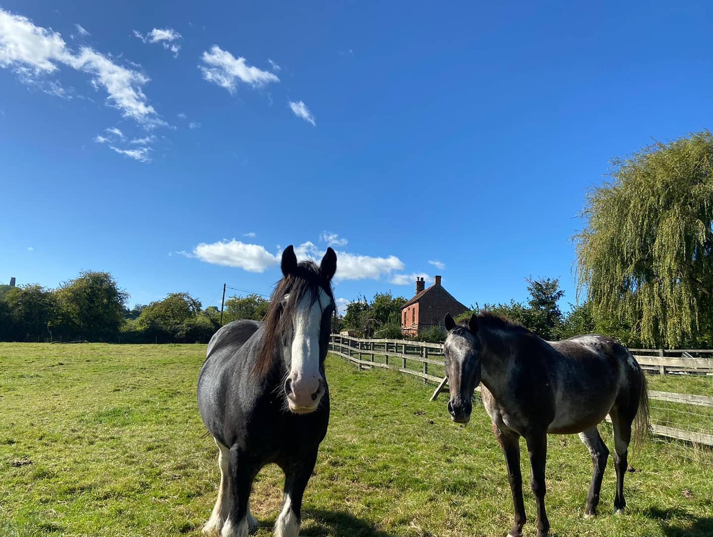 Platinum Healing Retreats in England