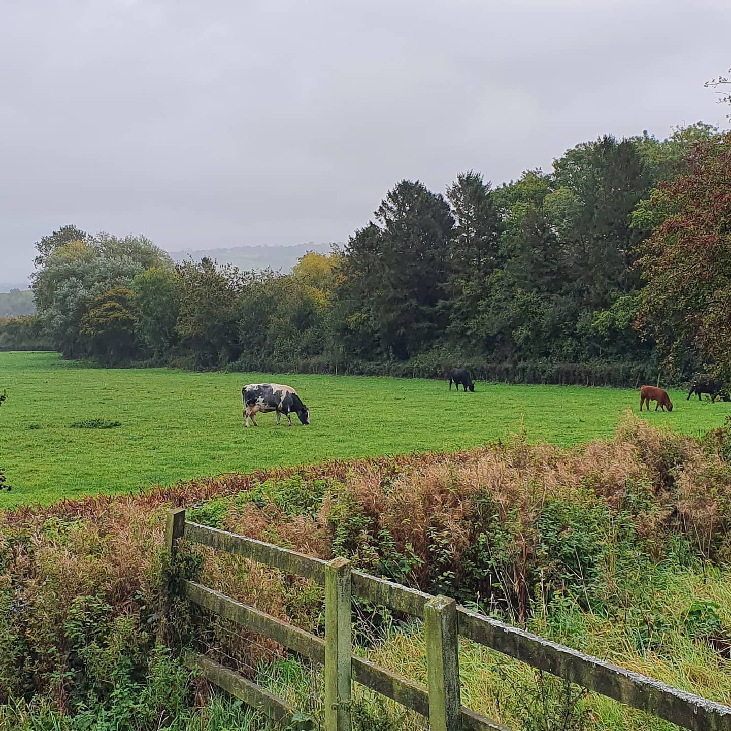 Platinum Healing Retreats in England