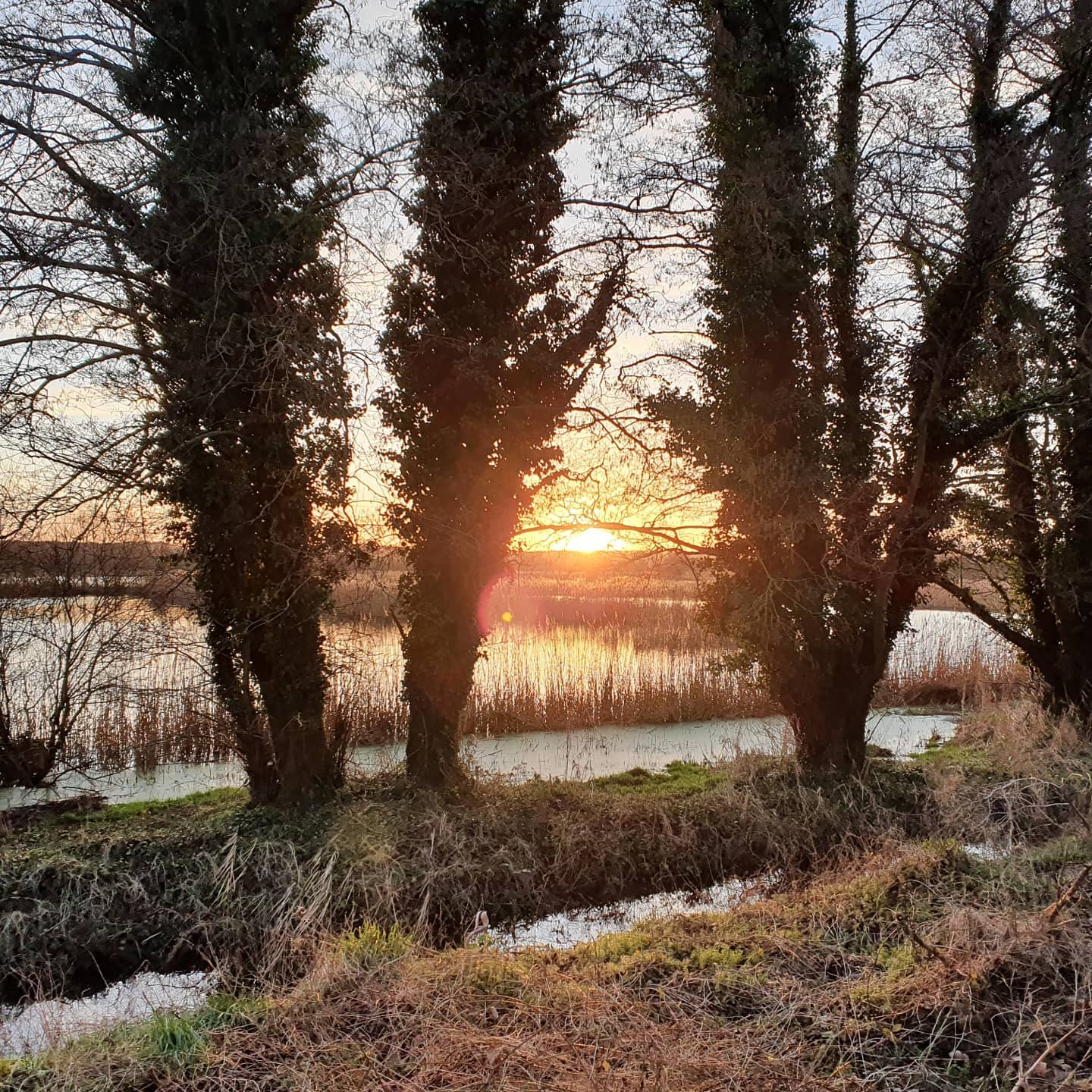 Platinum Healing Retreats in England