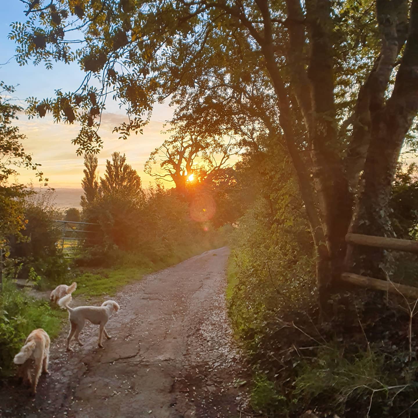 Platinum Healing Retreats in England