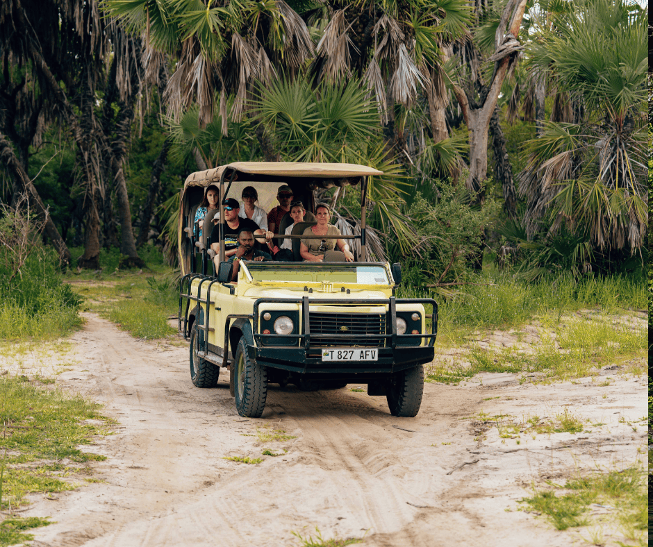 Juice Detox and Yoga Retreat Thailand